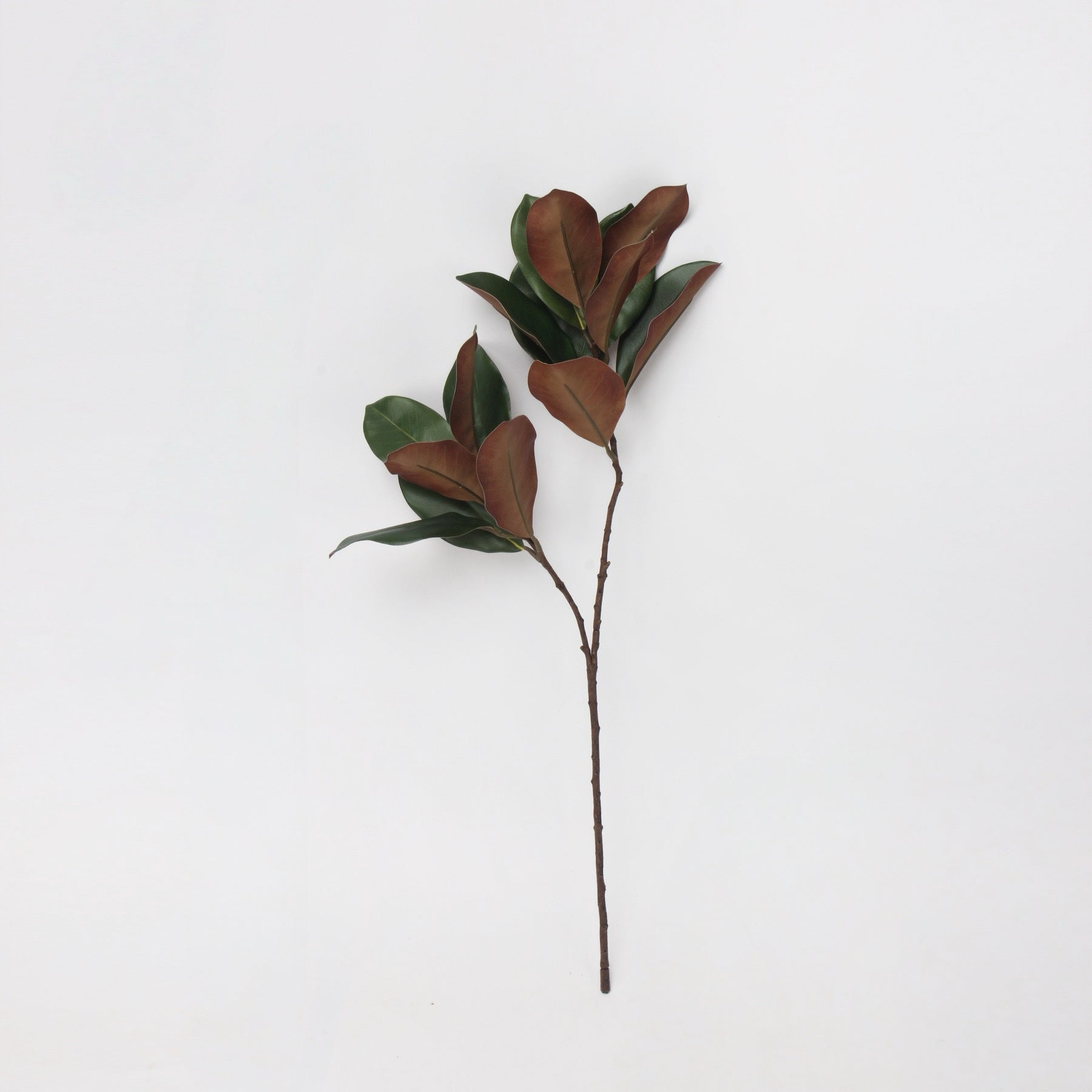 フェイクマグノリアの葉の茎 - 73cm