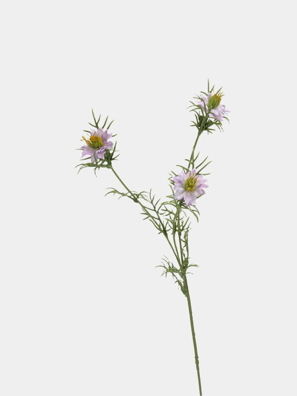 ニジュロラ似のピンクの花茎 - 26インチ