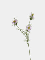 Falscher Nigella-Blütenstiel – Rosa 66 cm