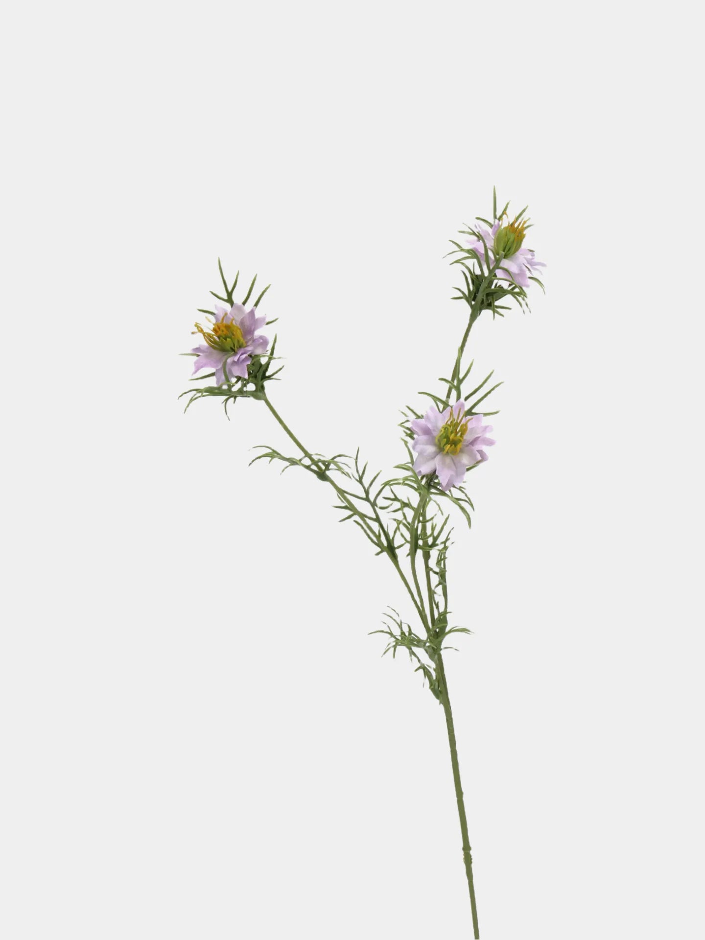 Falscher Nigella-Blütenstiel – Rosa 66 cm