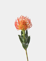 Faux Pincushion Protea Stem – 21"