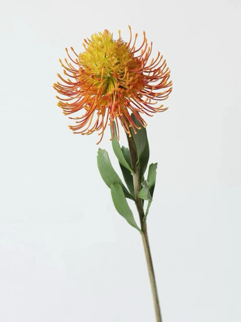 Faux Pincushion Protea Stem – 23"