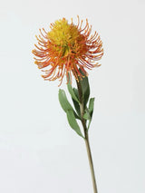 Faux Pincushion Protea Stem – 23"