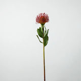 Faux Pincushion Protea Stem – 21"