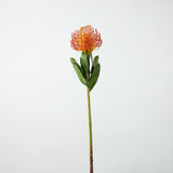 Faux Pincushion Protea Stem – 21"