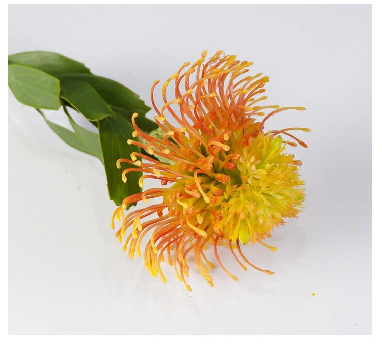 Faux Pincushion Protea Stem – 23"