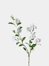 Falscher Plumbago Blütenstiel – 86 cm