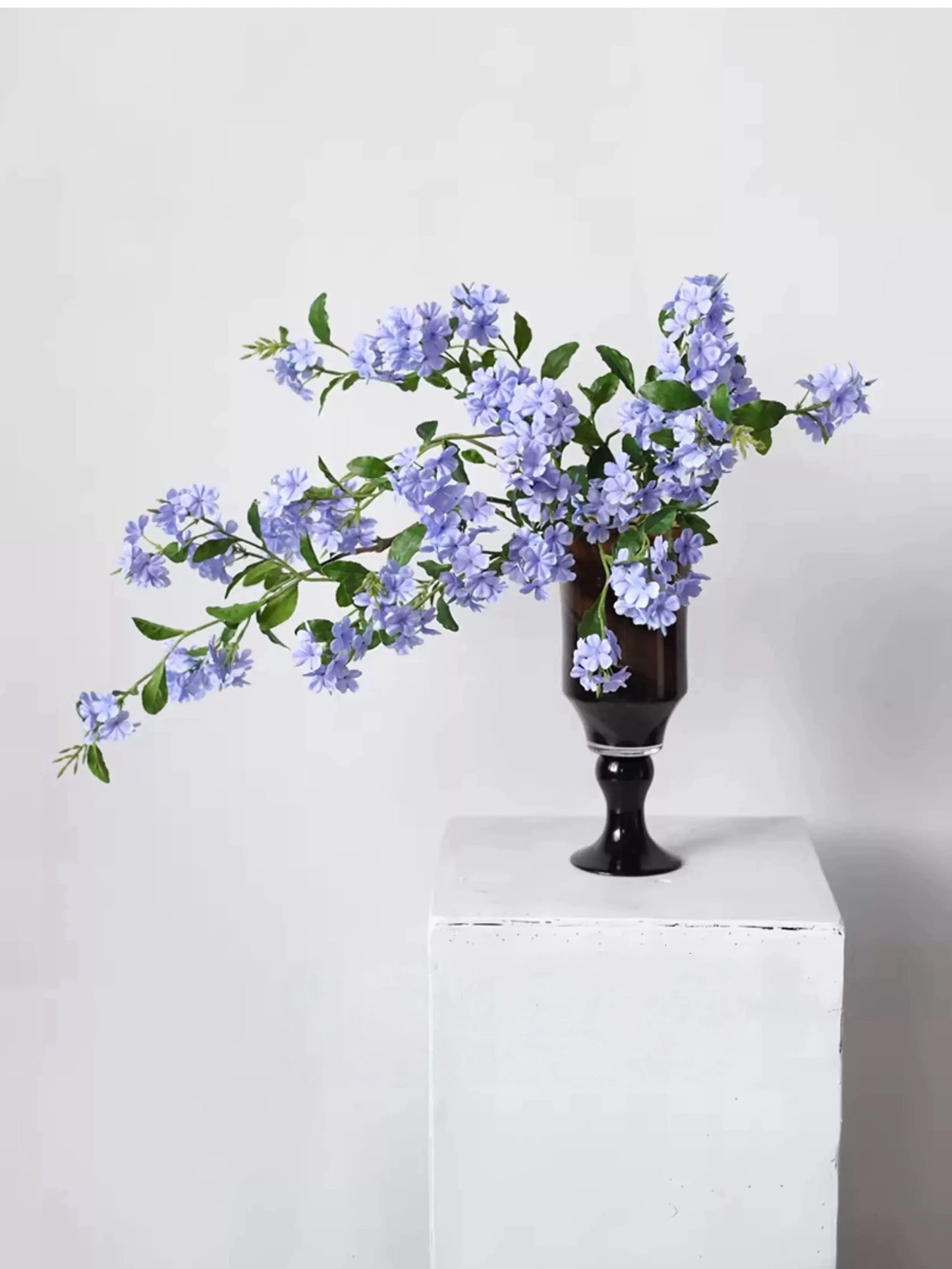 Falscher Plumbago Blütenstiel – 86 cm