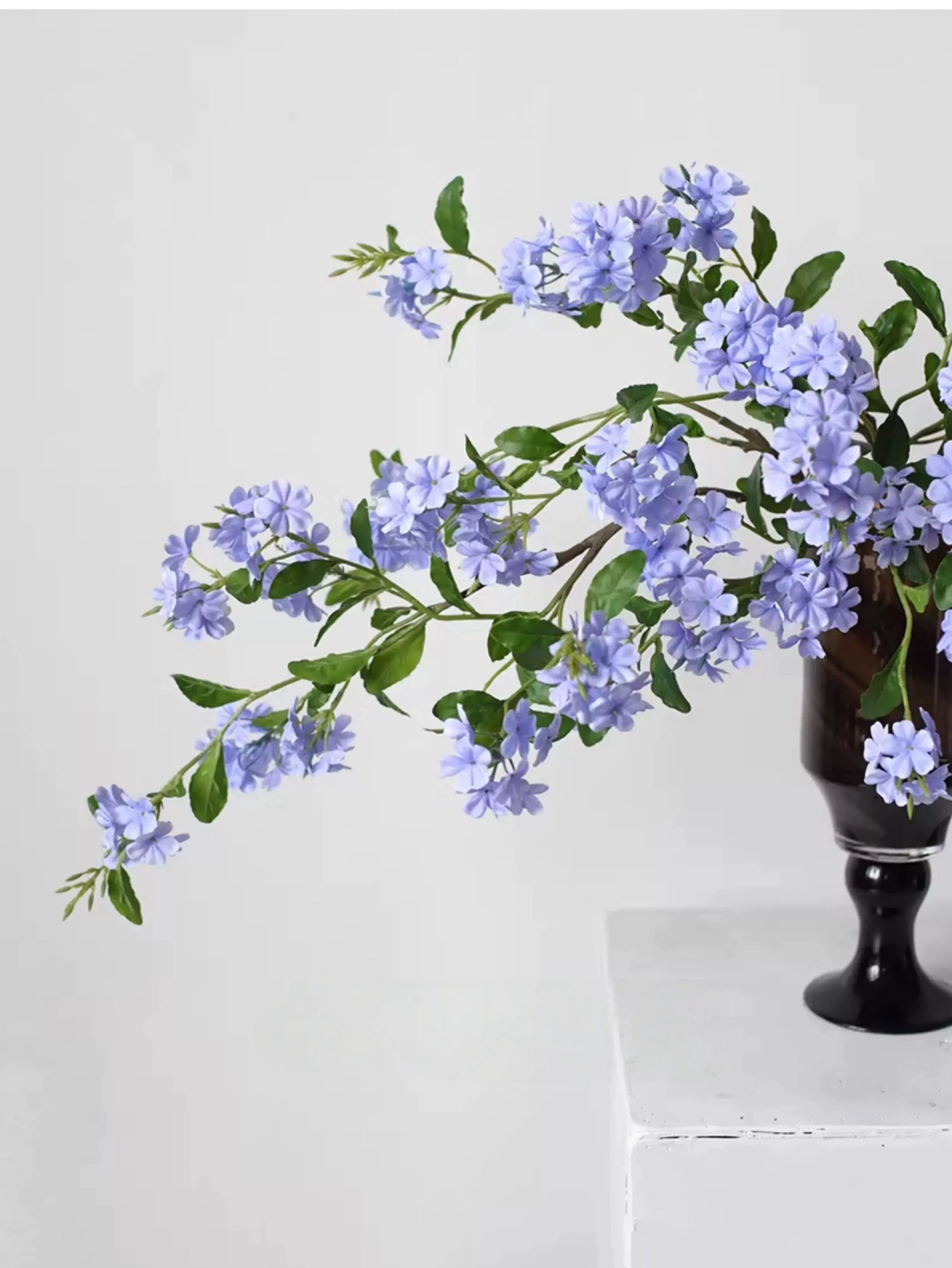 Falscher Plumbago Blütenstiel – 86 cm