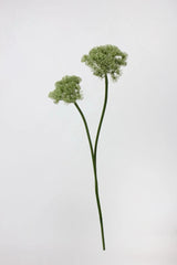 フェイク クイーンアンのレースフラワー – グリーン 26.7"