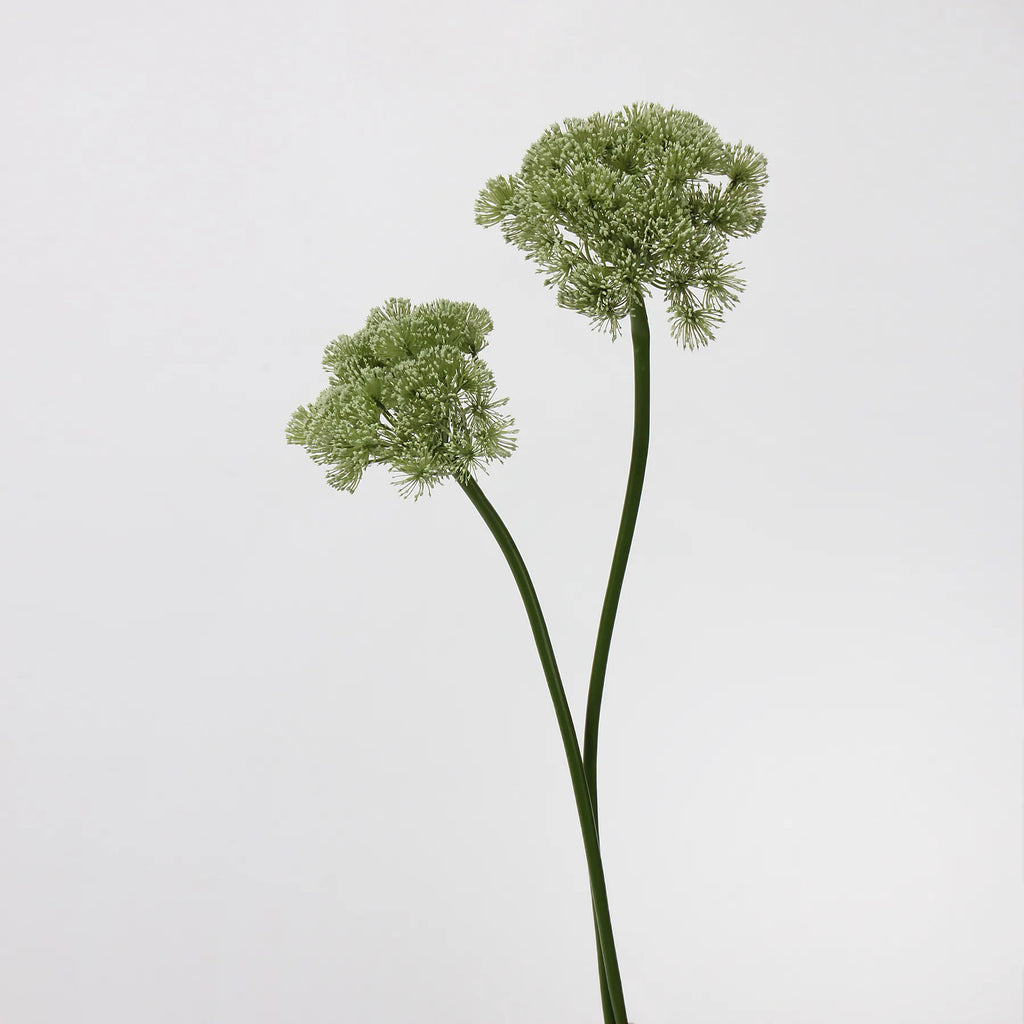 Faux Queen Anne’s Lace Flower – Green 26.7"