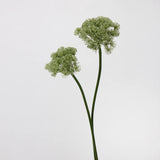 フェイク クイーンアンのレースフラワー – グリーン 26.7"