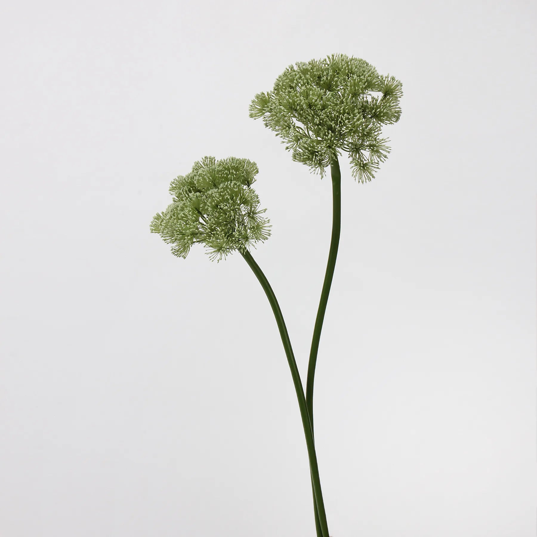 Faux Queen Anne’s Lace Flower – Green 26.7"