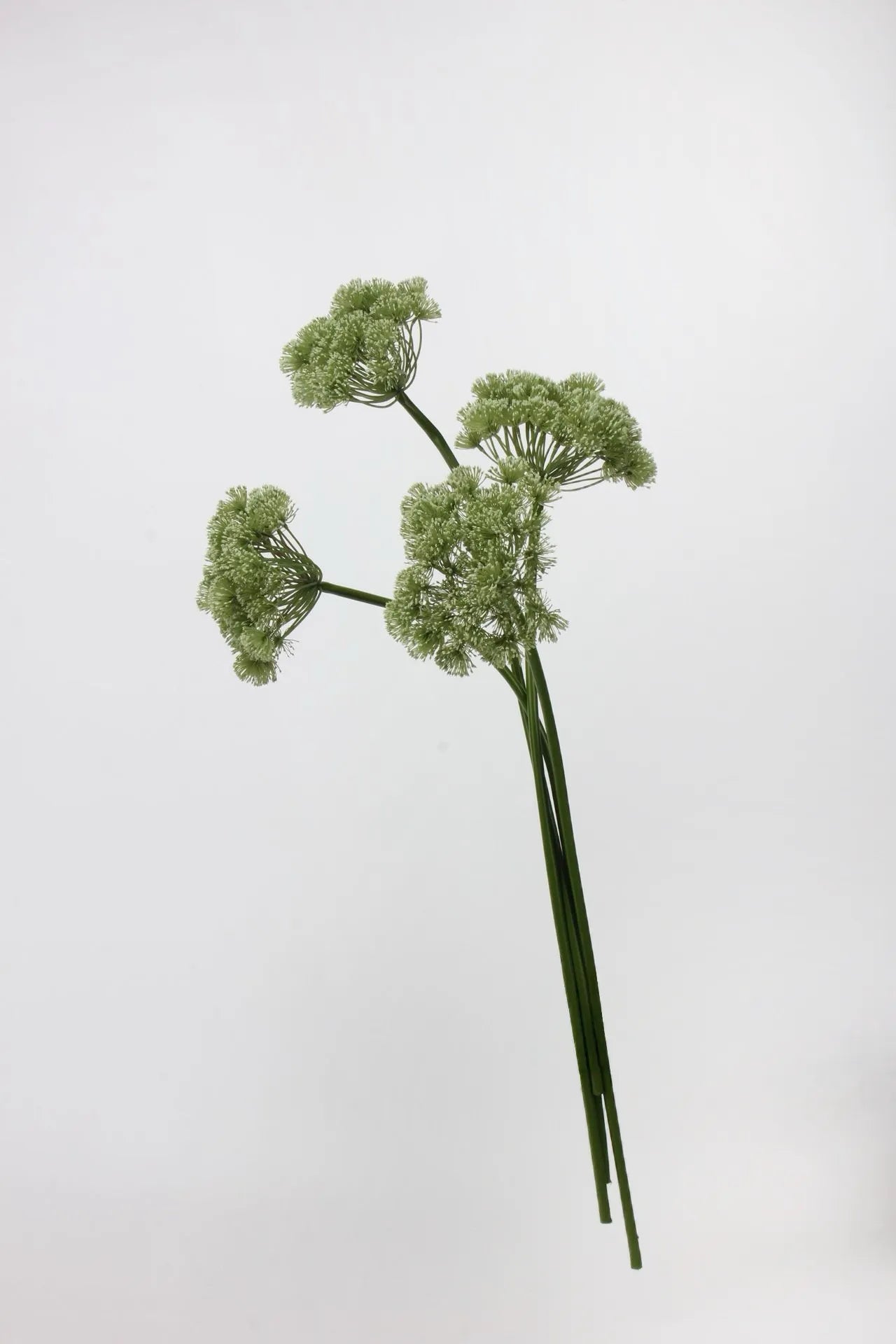 Faux Queen Anne’s Lace Flower – Green 26.7"