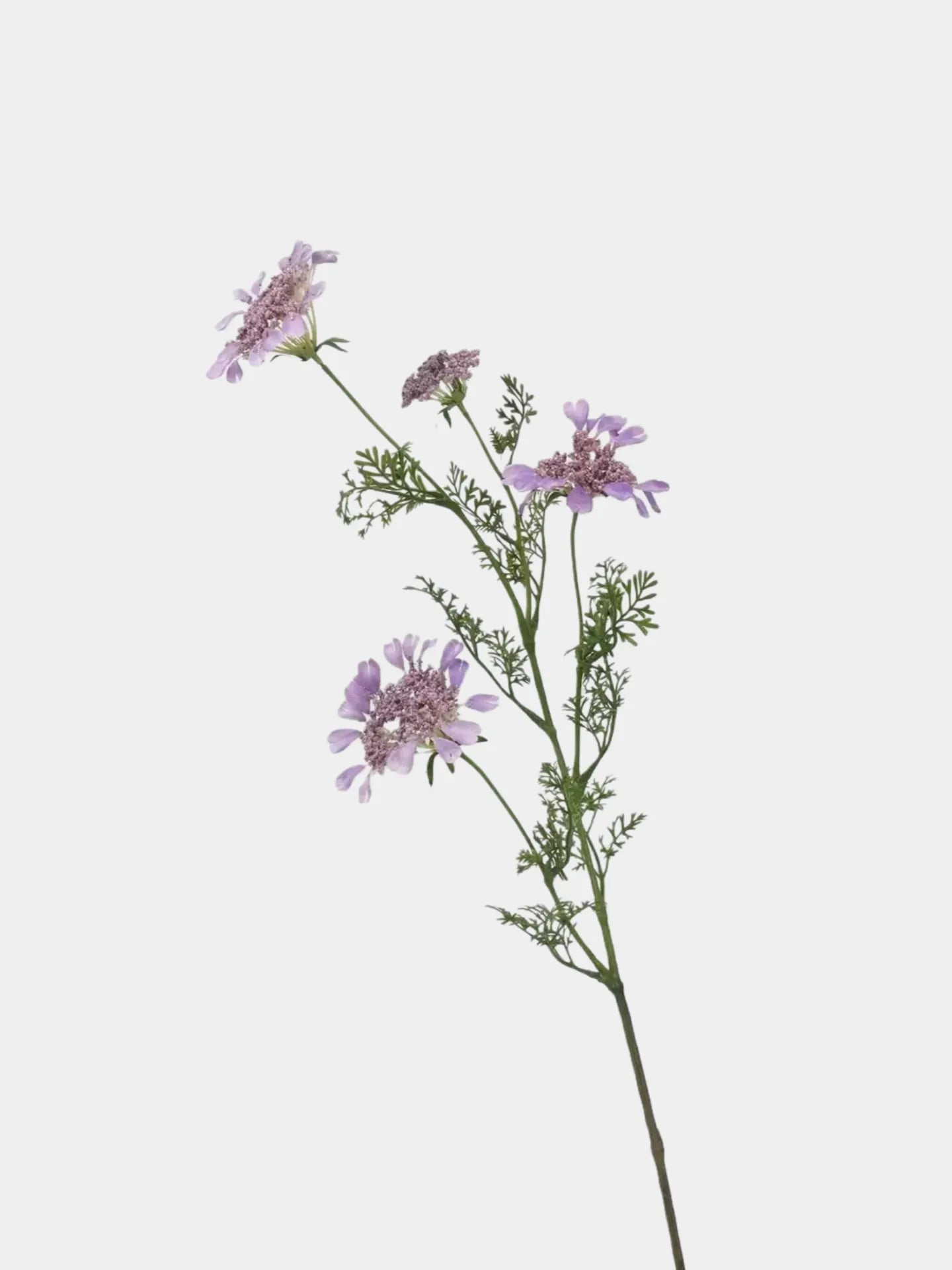 Faux Queen Anne's Lace Wildflowers  – 37"
