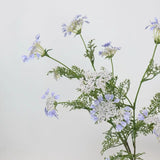 フェイク クイーン アンのレース 野生の花 – 37インチ