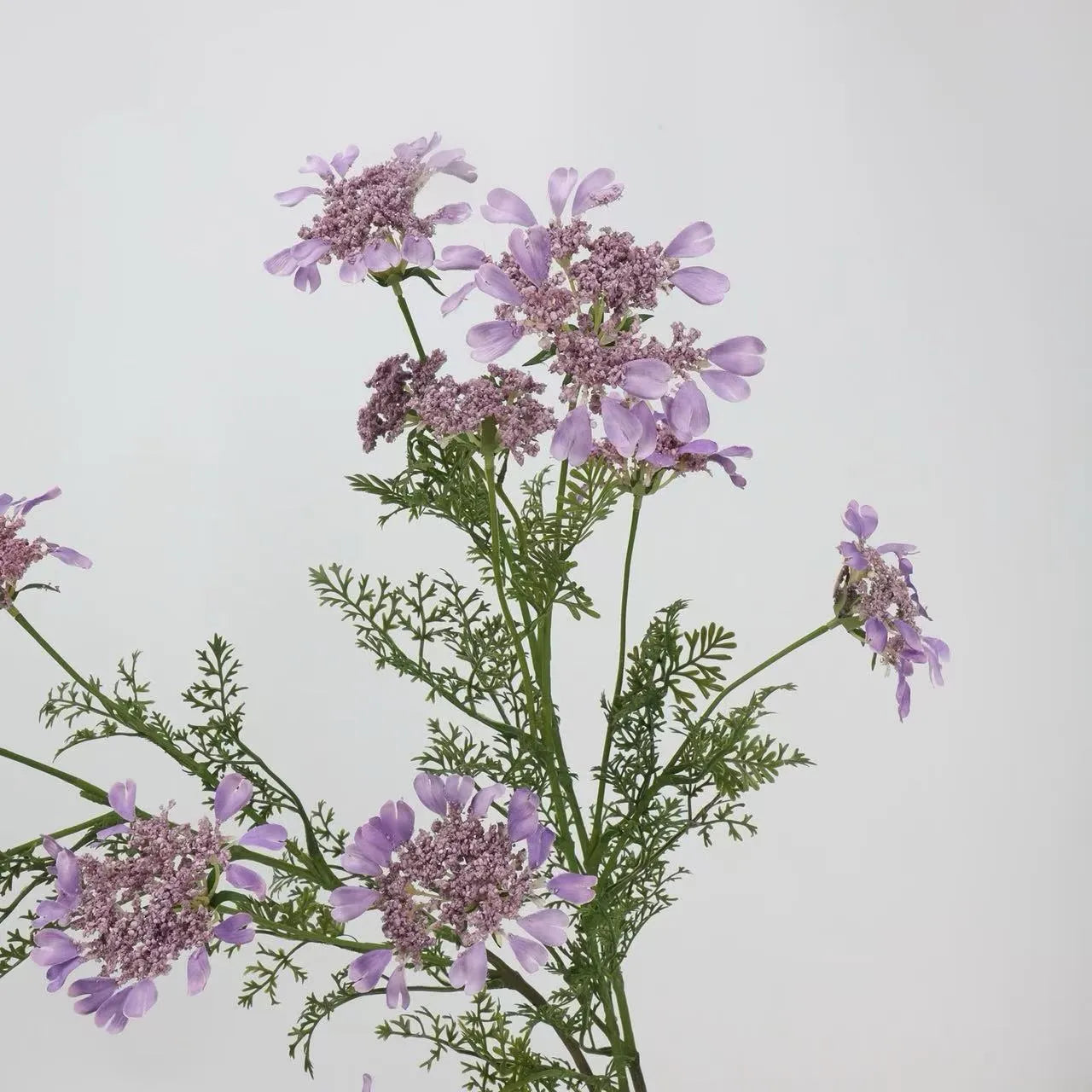 Faux Queen Anne's Lace Wildflowers  – 37"