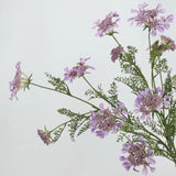 フェイク クイーン アンのレース 野生の花 – 37インチ