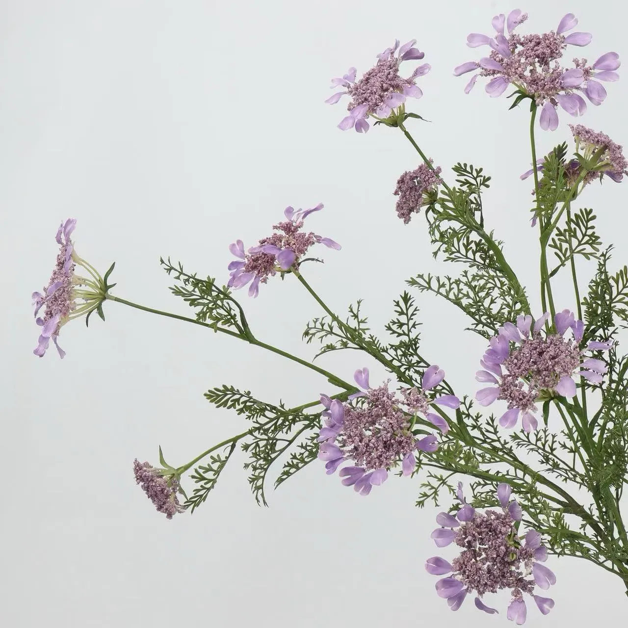 Faux Queen Anne's Lace Wildflowers  – 37"