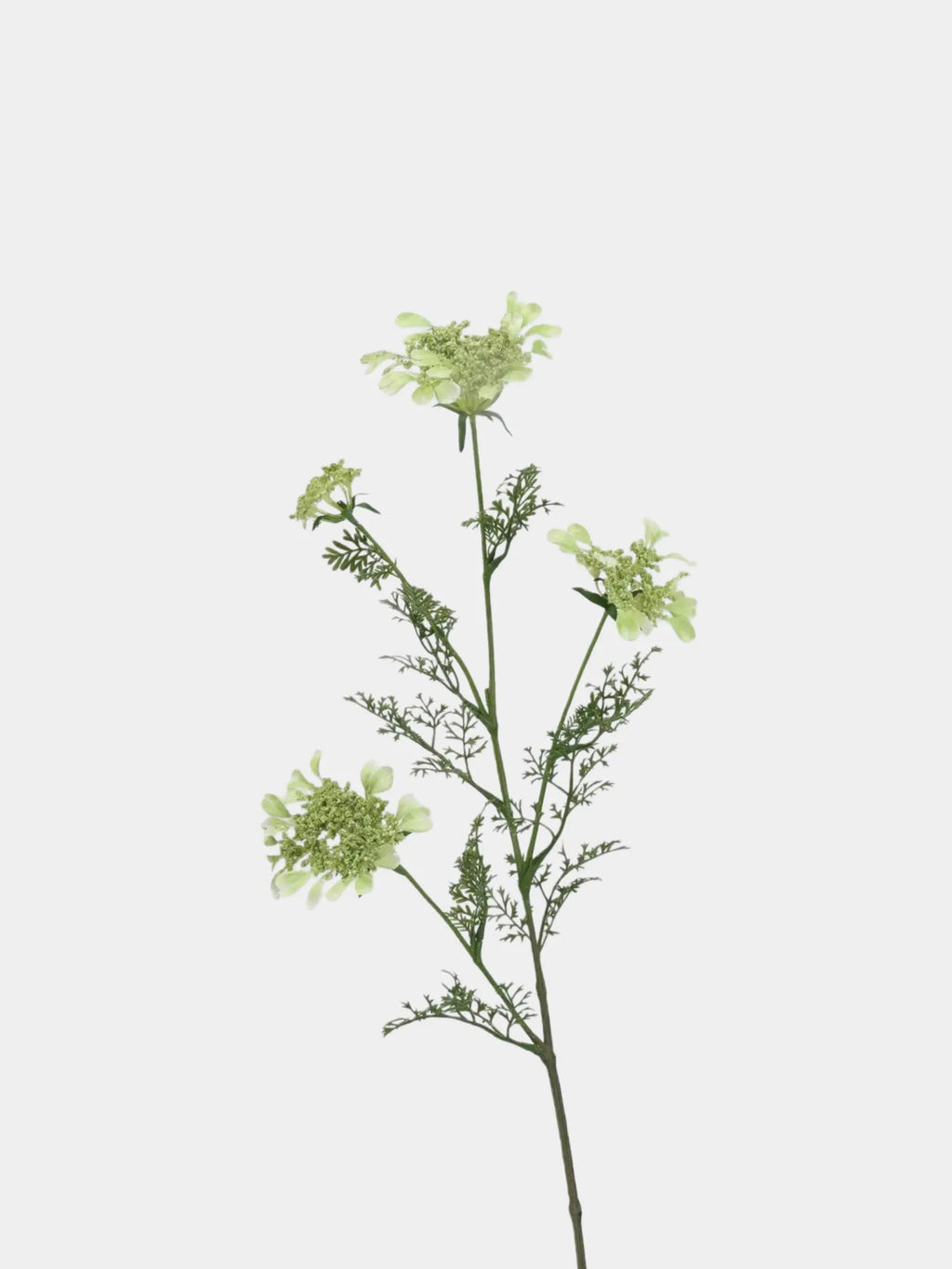Faux Queen Anne's Lace Wildflowers  – 37"