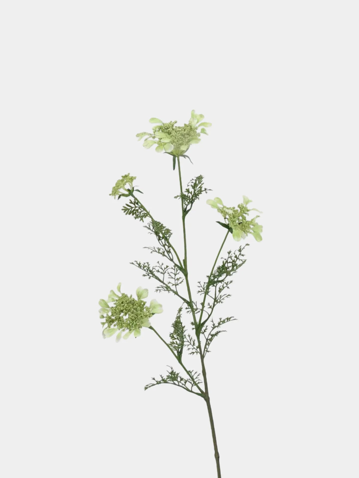 Faux Queen Anne's Lace Wildflowers  – 37"