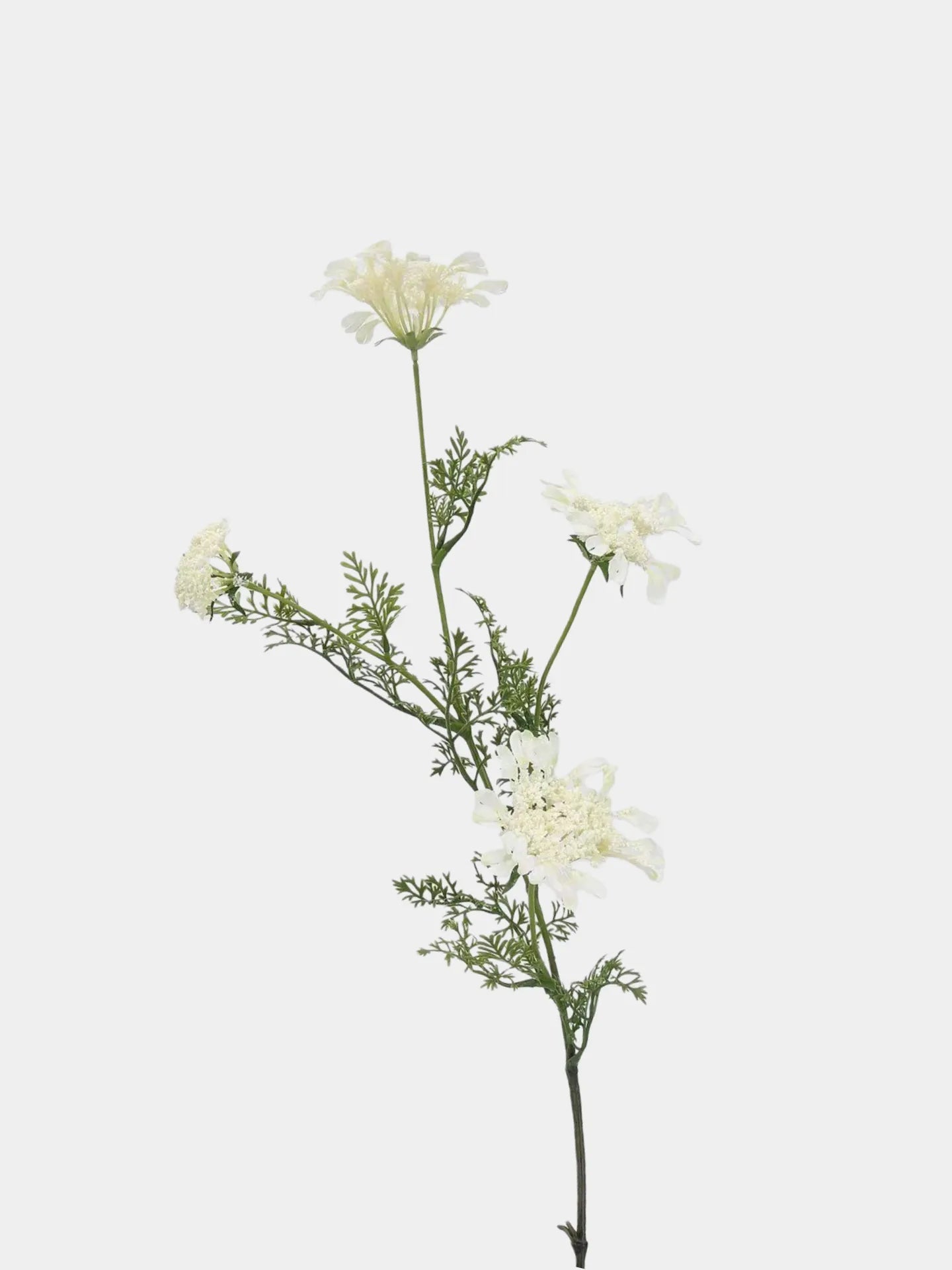 Faux Queen Anne's Lace Wildflowers  – 37"