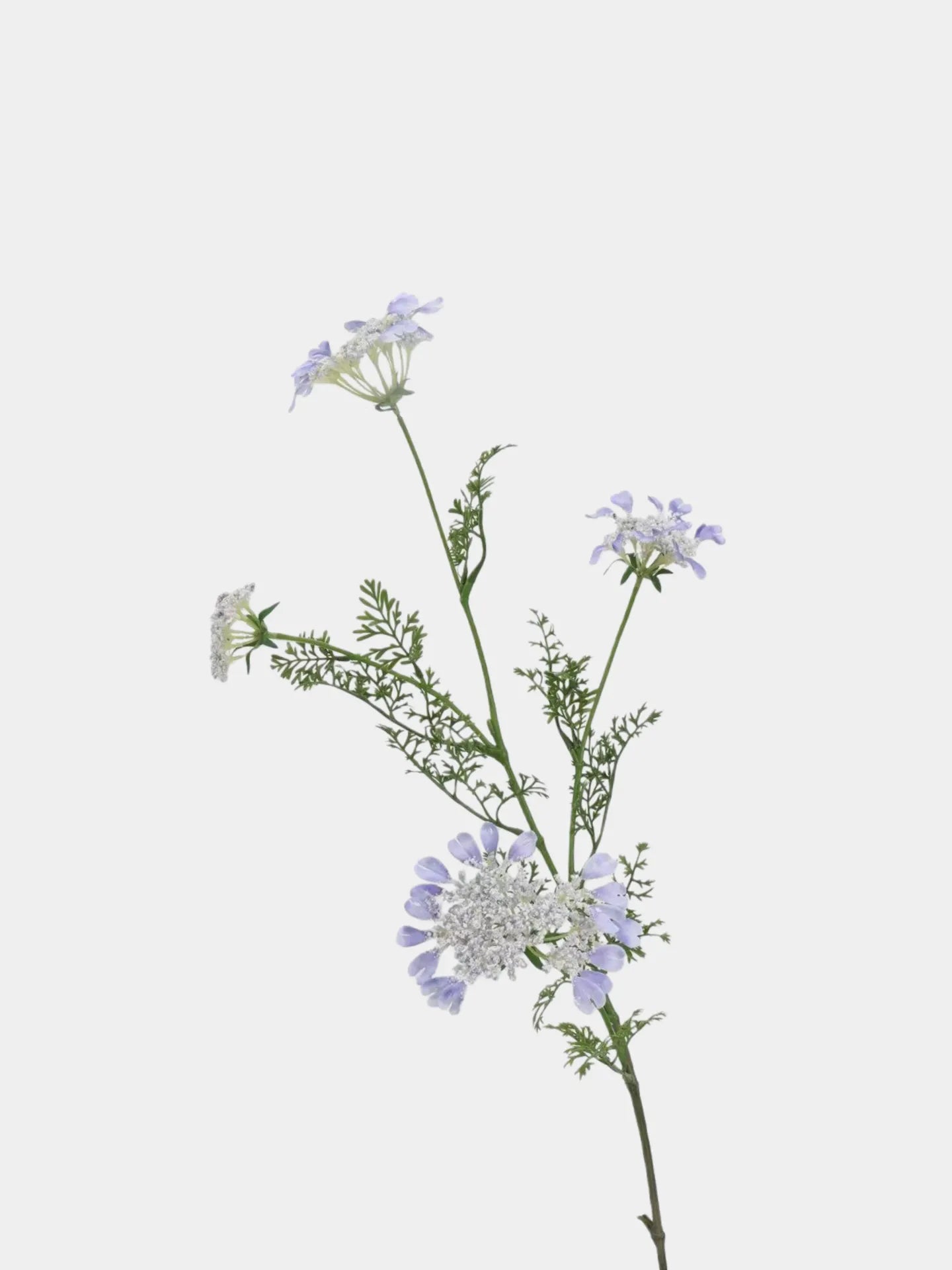 Faux Queen Anne's Lace Wildflowers  – 37"