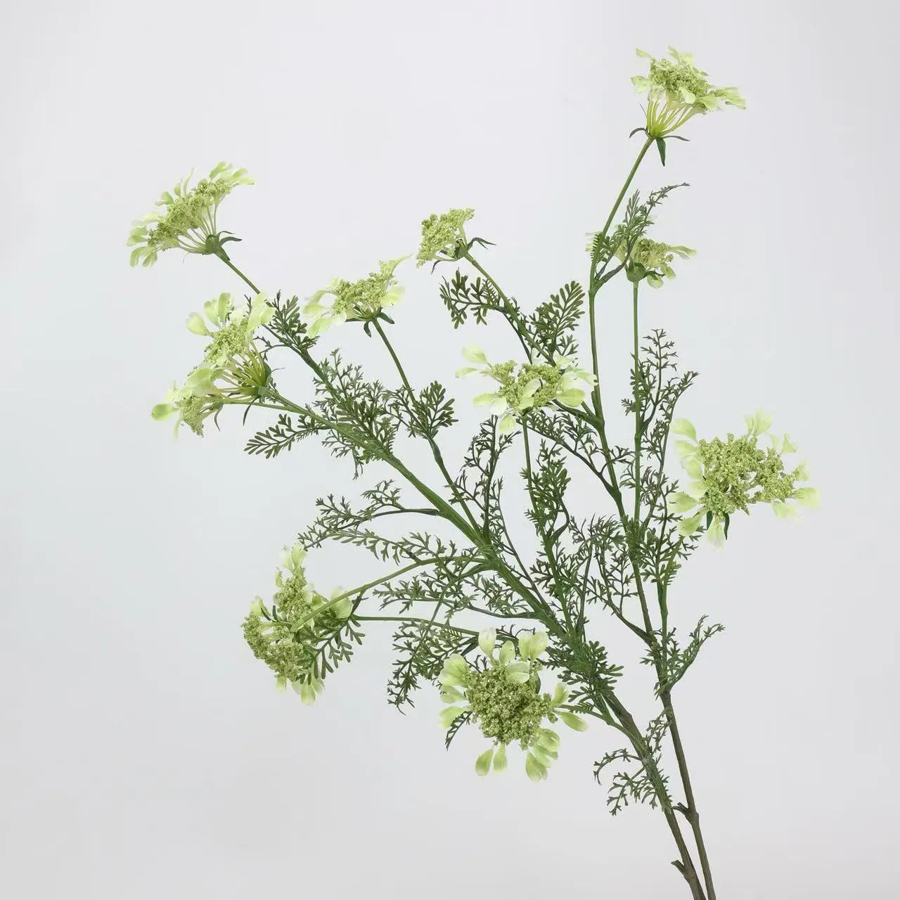 Faux Queen Anne's Lace Wildflowers  – 37"