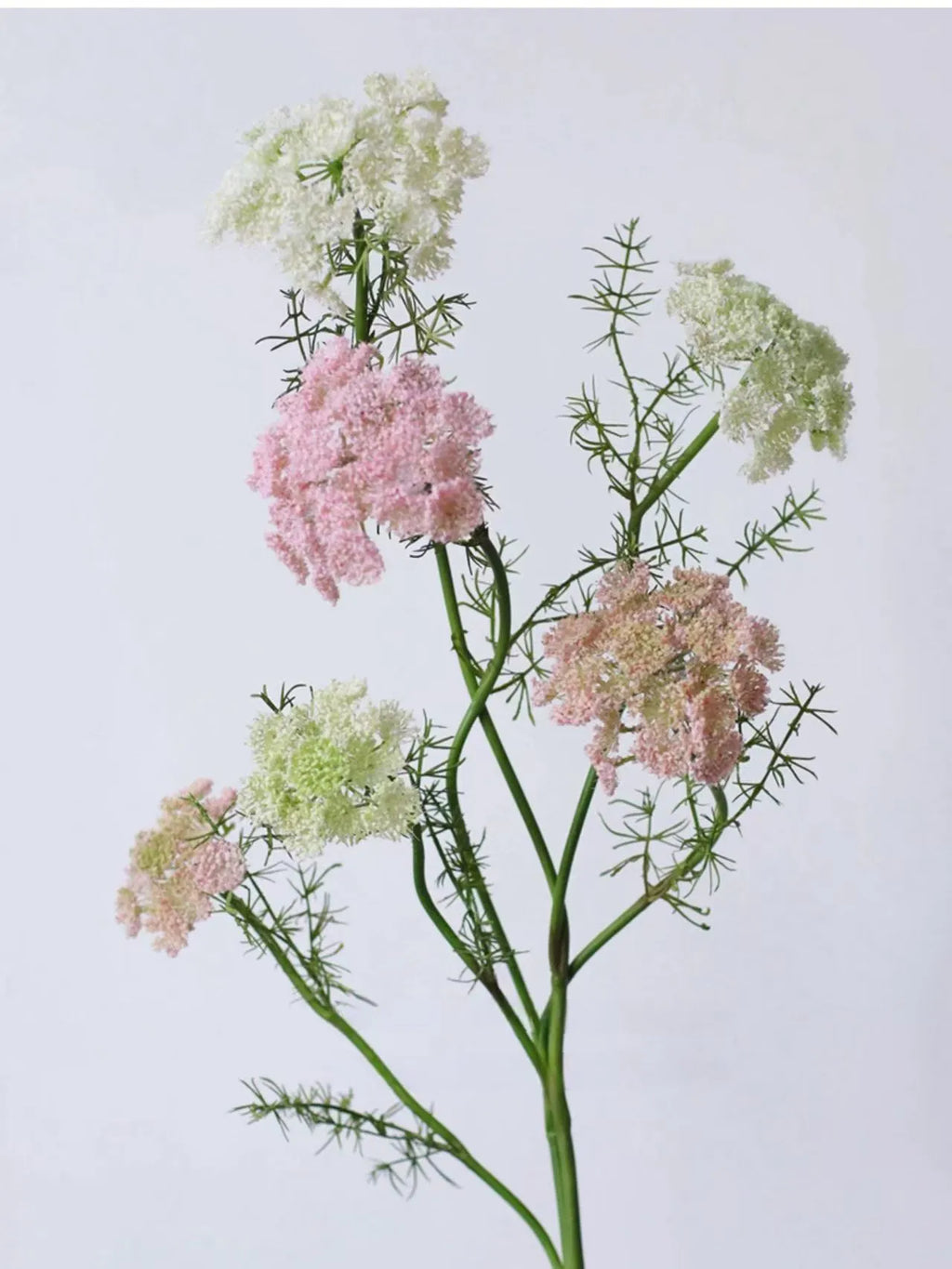 Faux Queen Anne’s Lace – 75 cm Lifelike Wildflower Stem