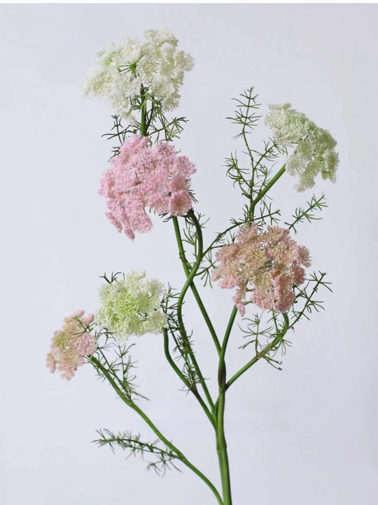 フェイク クイーンアンのレース – 75 cm リアルな野花の茎