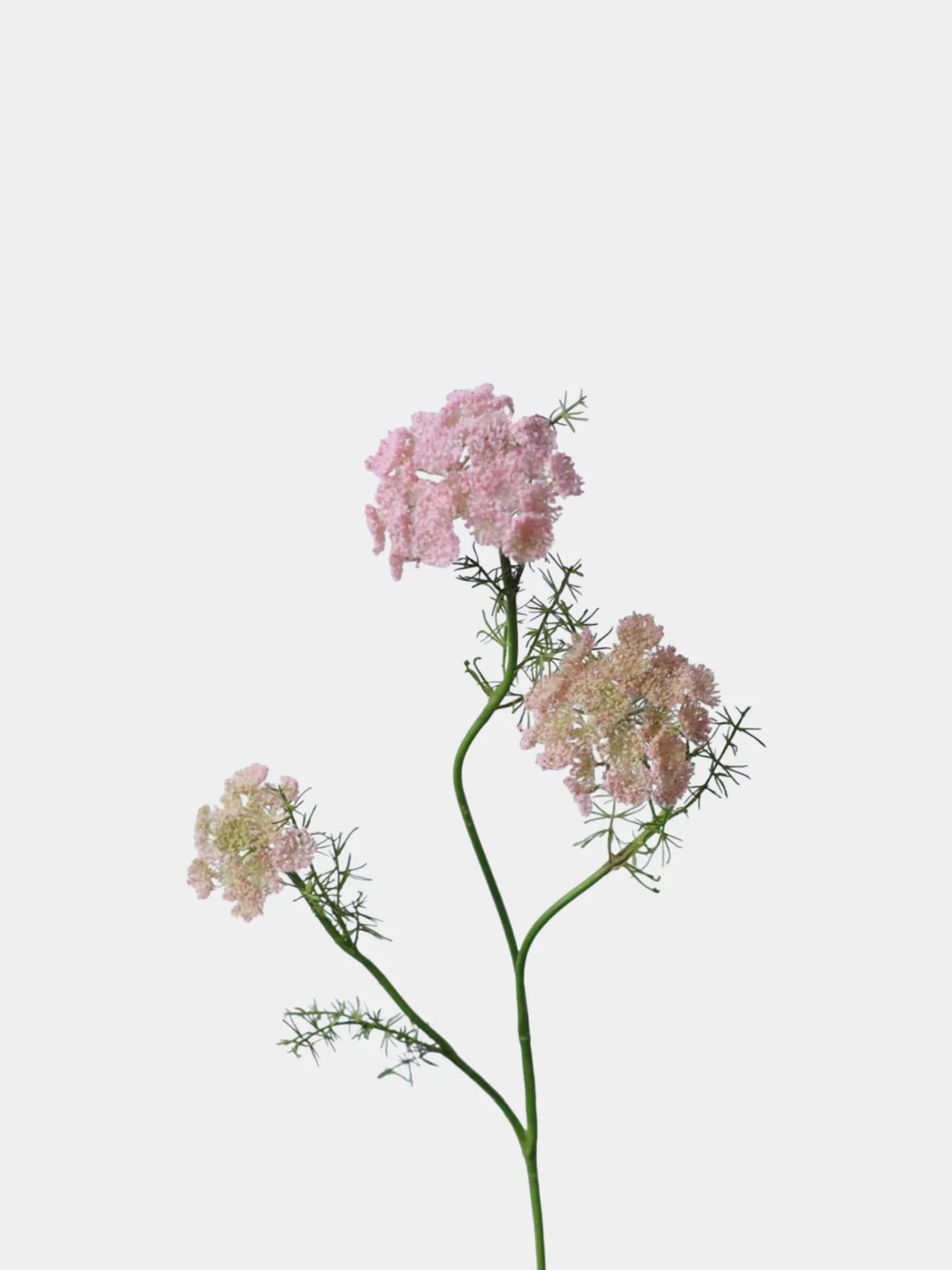 フェイク クイーンアンのレース – 75 cm リアルな野花の茎