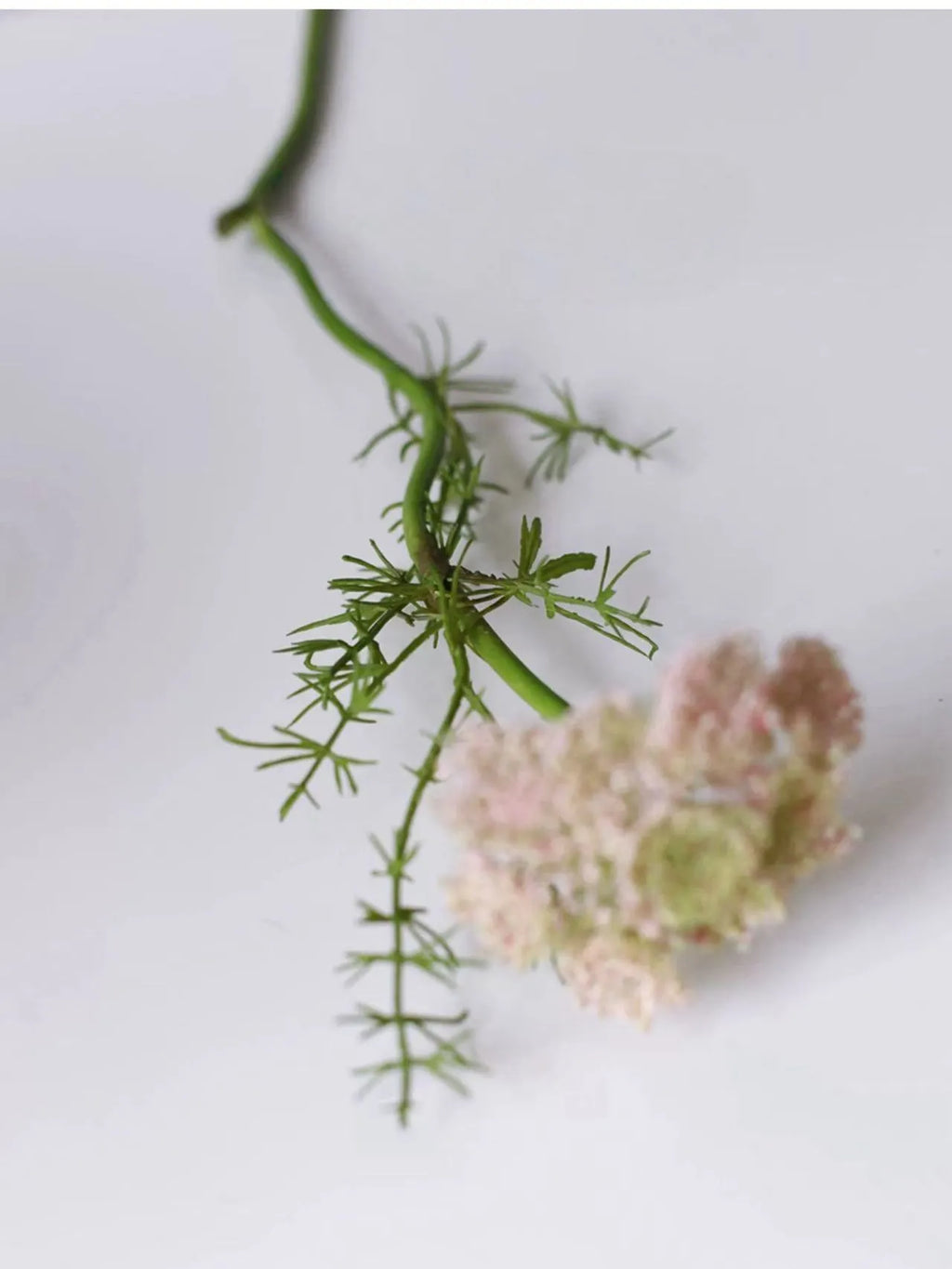 Faux Queen Anne’s Lace – 75 cm Lifelike Wildflower Stem