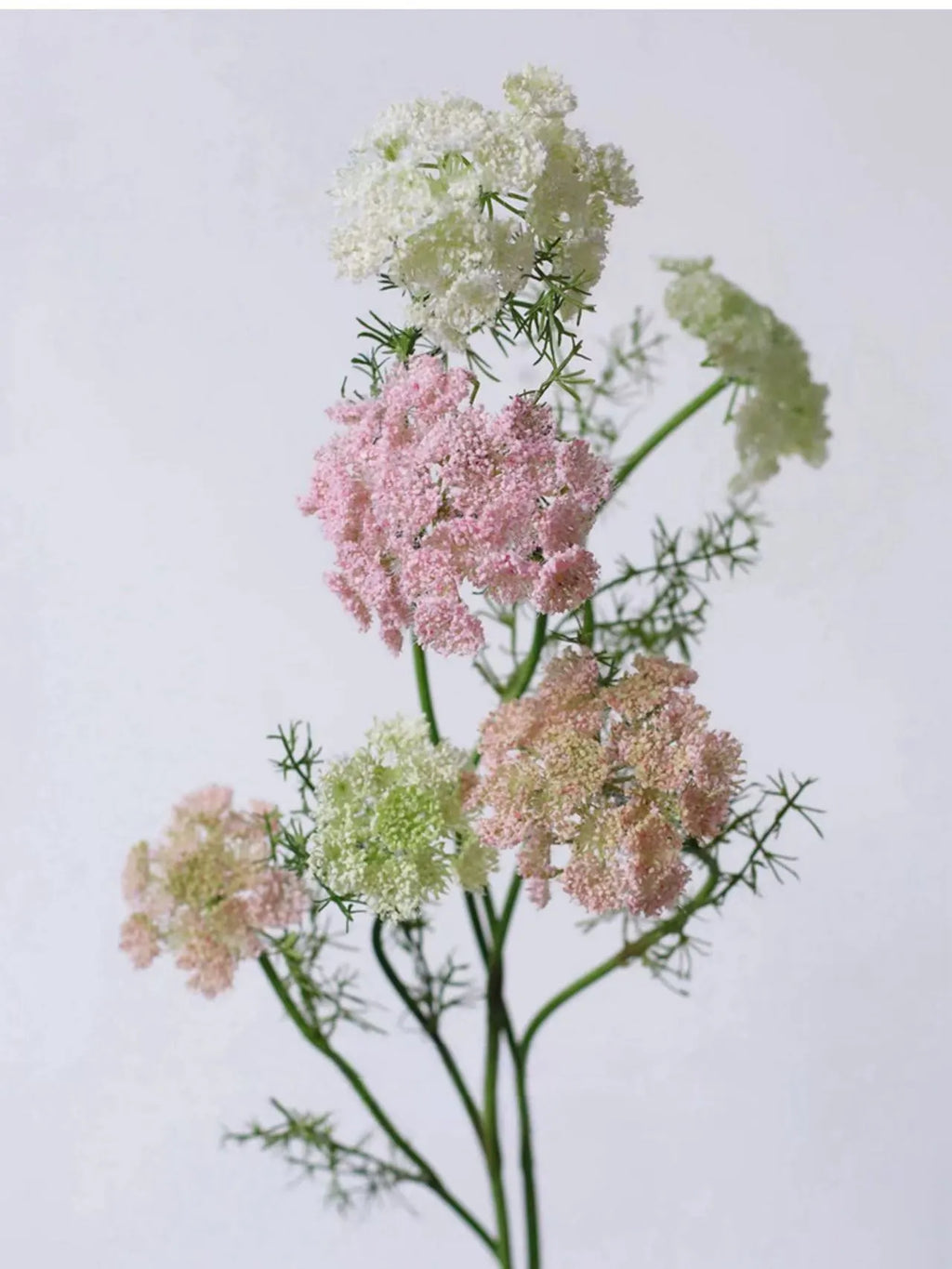 Faux Queen Anne’s Lace – 75 cm Lifelike Wildflower Stem