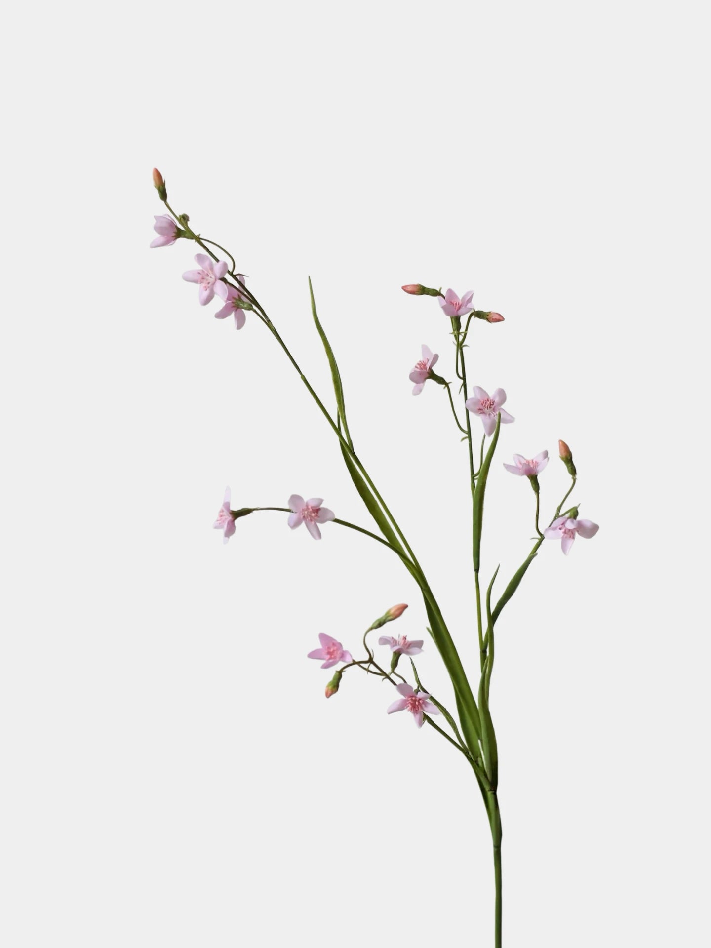 Faux Rain Lily Flower – 29"