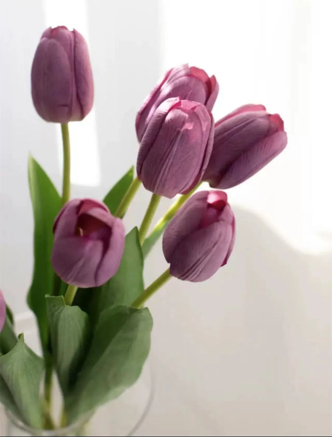 フェイクリアルタッチクリームパープルチューリップ 18インチ
