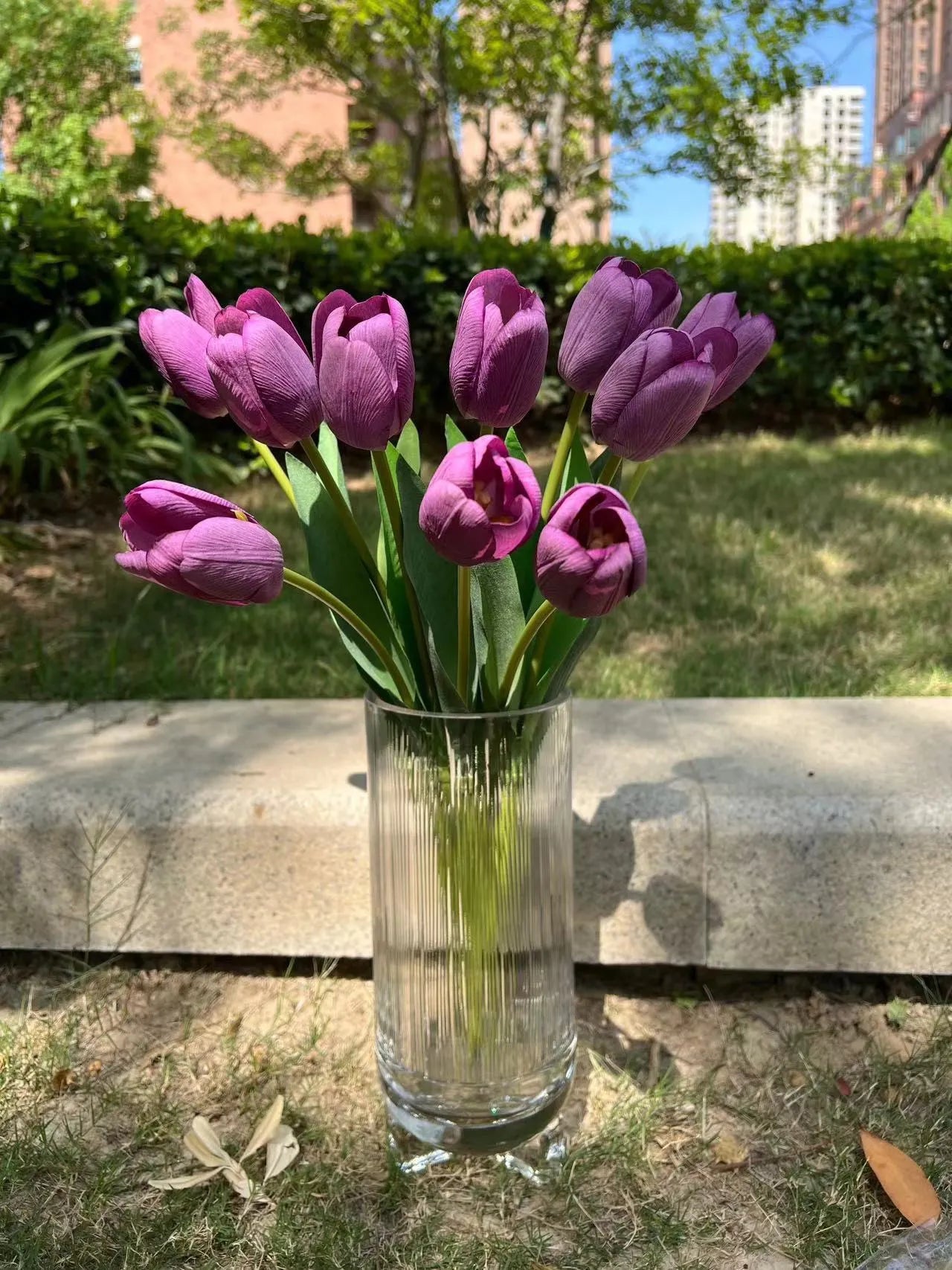 フェイクリアルタッチクリームパープルチューリップ 18インチ