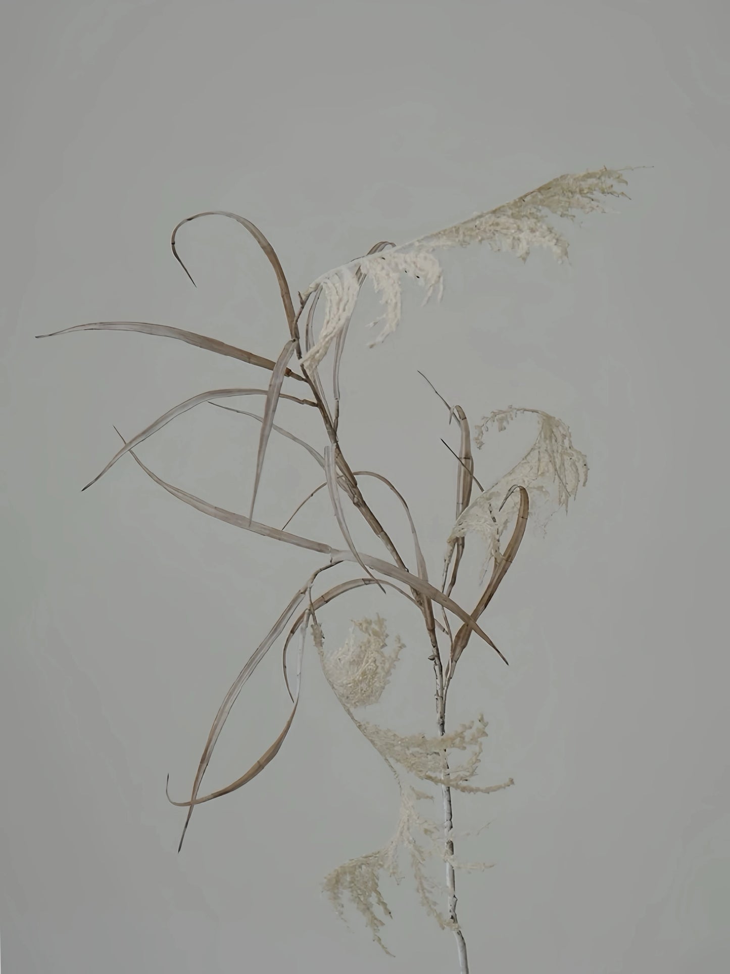Kunstschilf – Rustikaler botanischer Stiel mit Farbverlauf, 119 cm
