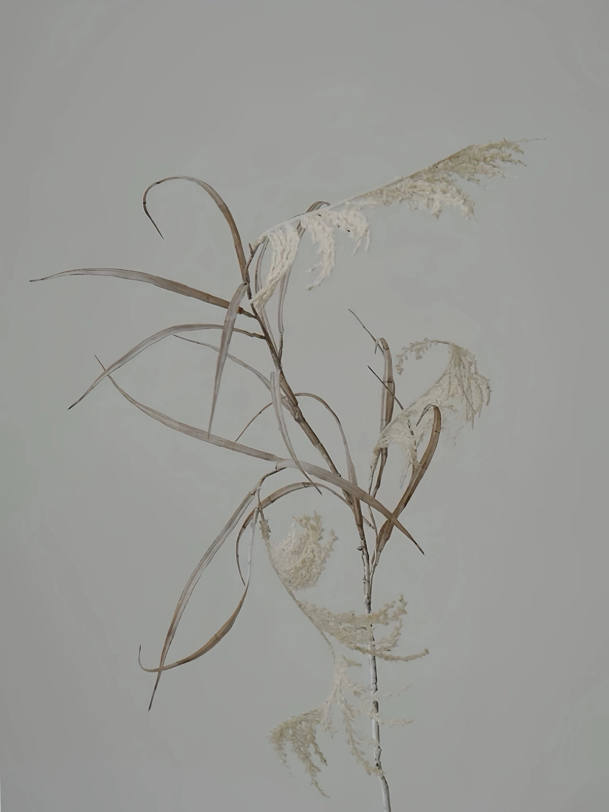 Kunstschilf – Rustikaler botanischer Stiel mit Farbverlauf, 119 cm