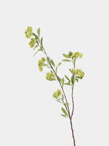 Faux Reeves Spiraea Spray Stem – 94 cm