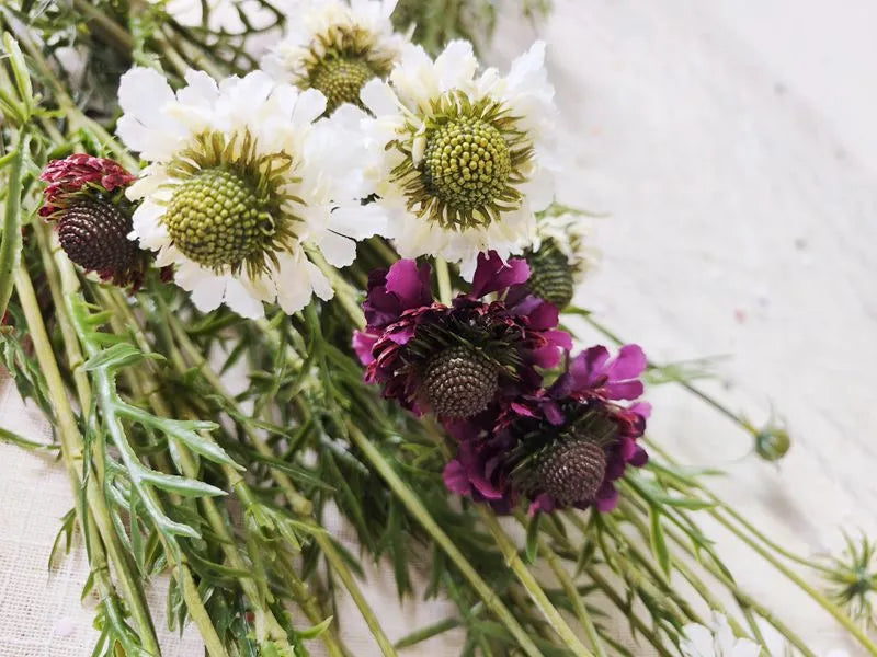 Faux Scabiosa Flower Spray -White 29"