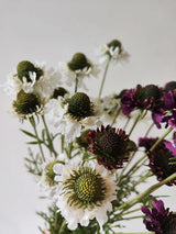 フェイクスカビオサフラワースプレー - ホワイト 29"