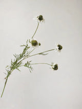 フェイクスカビオサフラワースプレー - ホワイト 29"