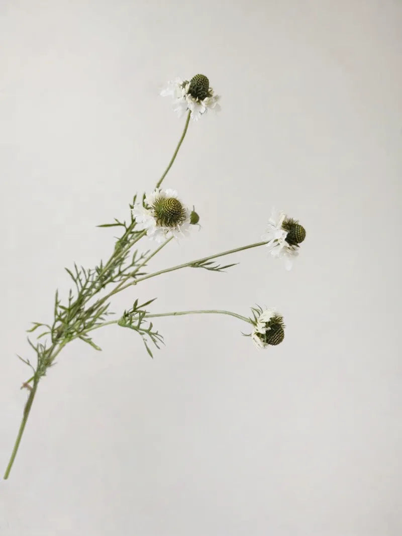 Faux Scabiosa Flower Spray -White 29"