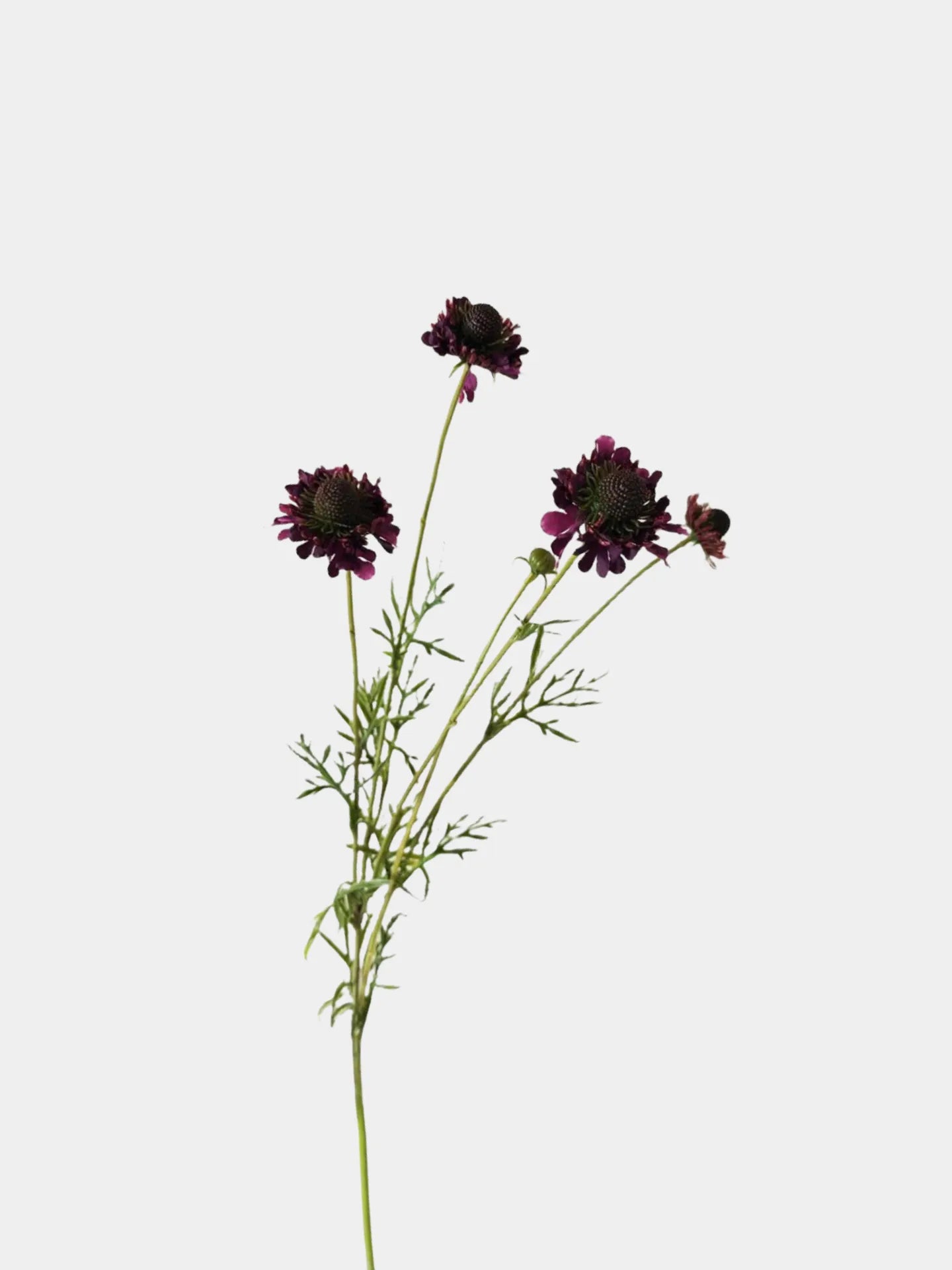 Faux Scabiosa Flower Spray -Purple 29"