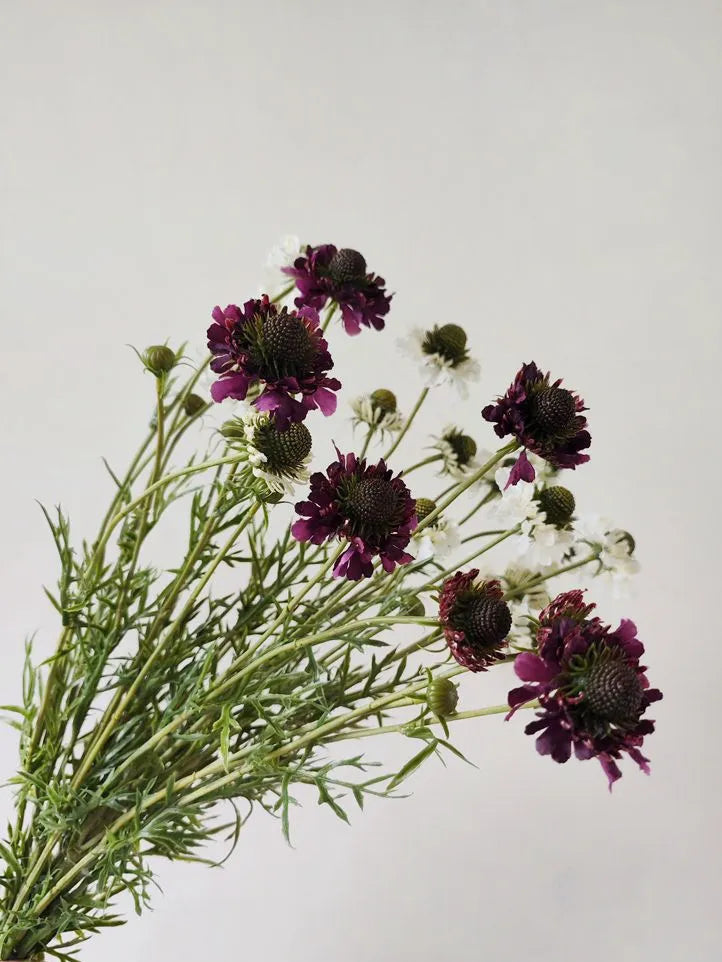 Faux Scabiosa Flower Spray -Purple 29"