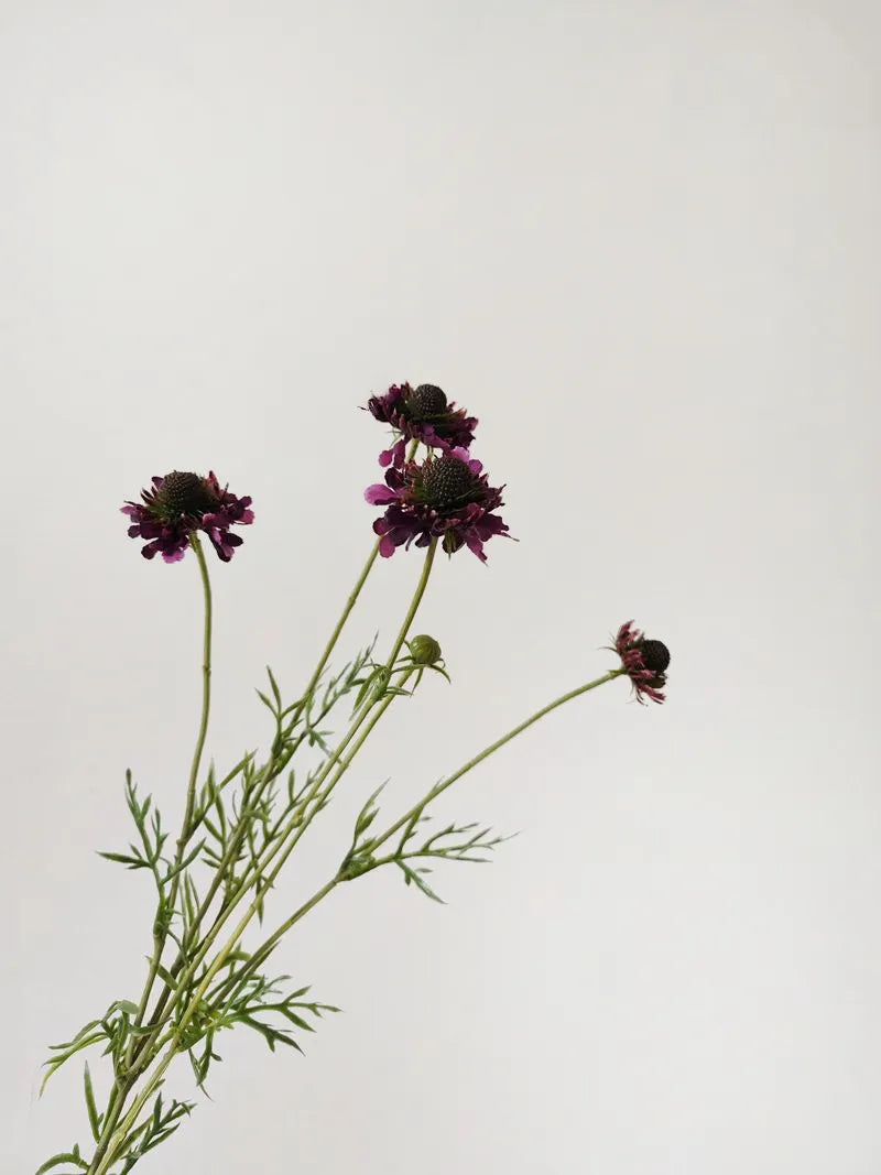 Faux Scabiosa Flower Spray -Purple 29"