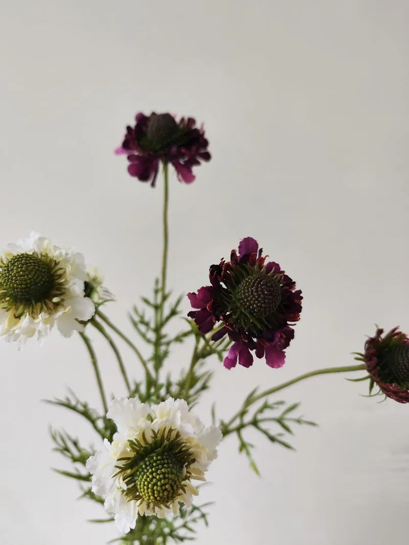 Faux Scabiosa Flower Spray -Purple 29"