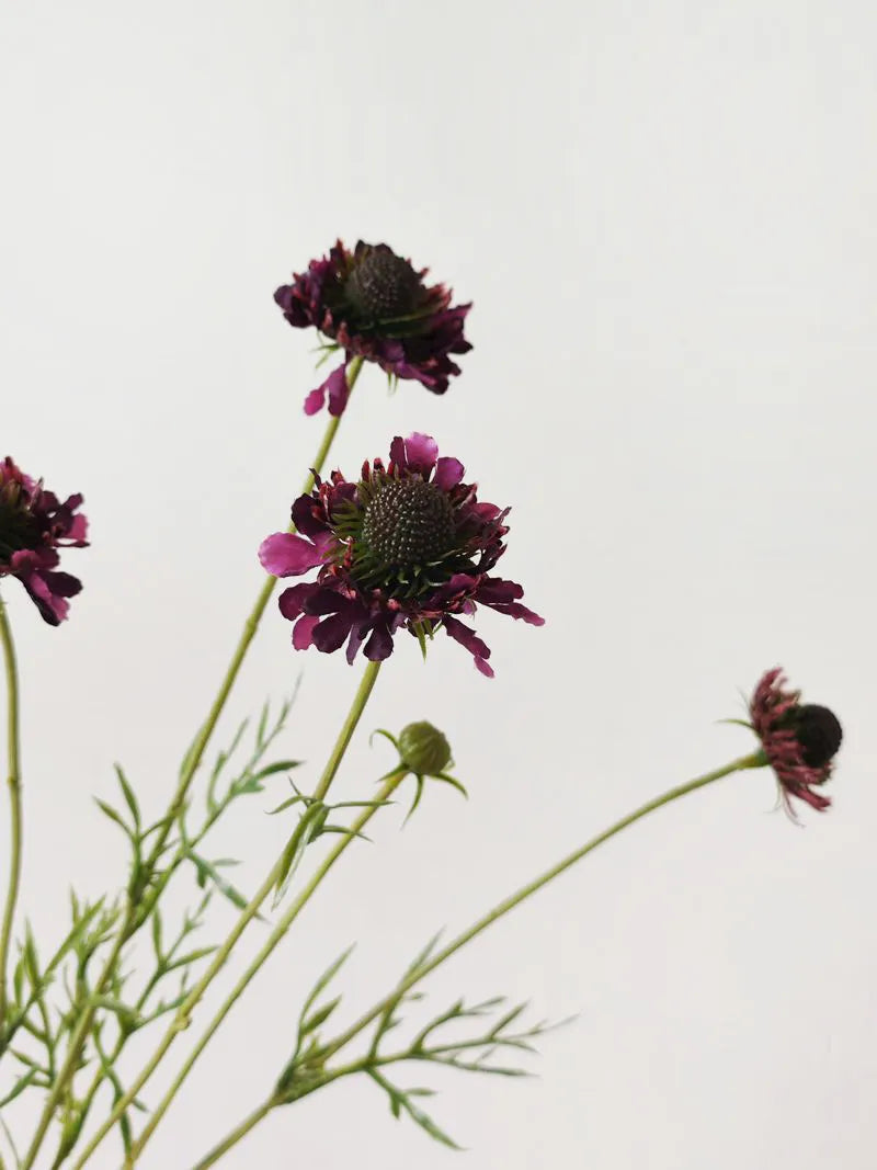Faux Scabiosa Flower Spray -Purple 29"