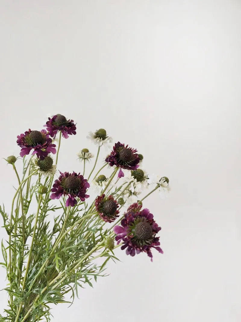 Faux Scabiosa Flower Spray -Purple 29"