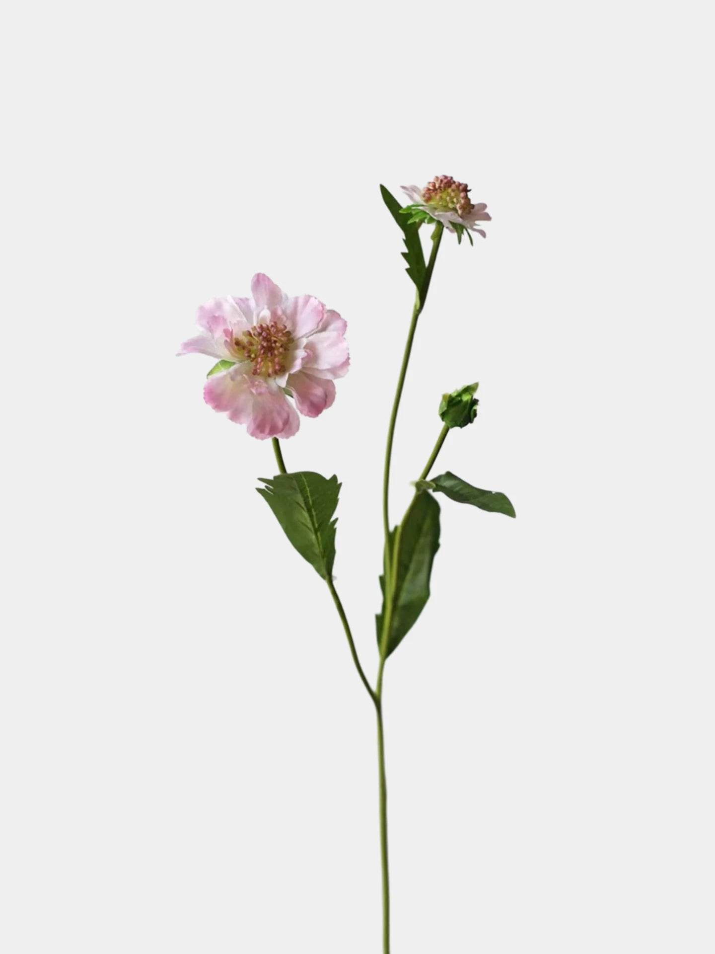 Faux Scabiosa Pincushion Flower Stem – 22"/55cm